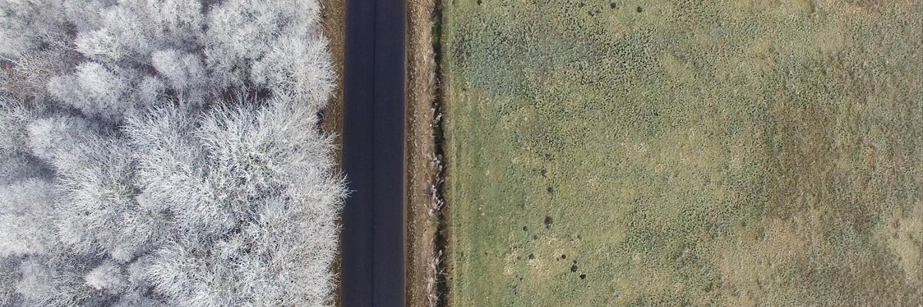 Dronefoto af skov og mark om vinteren