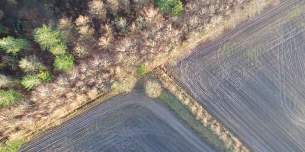 Dronefoto af skov og mark