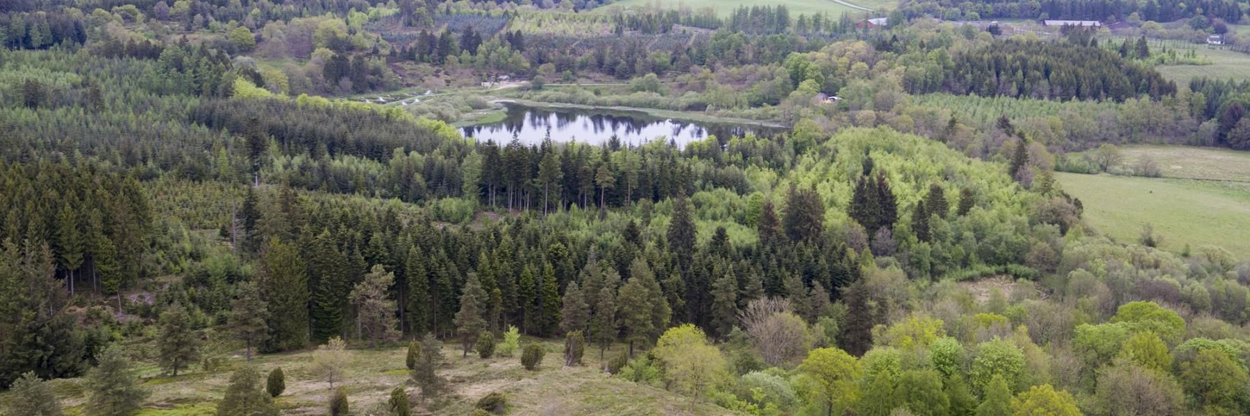 Naturområde - skovområde med sø