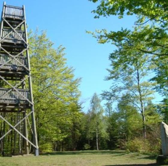 Tårn ved Sir-Lyngbjerg 500